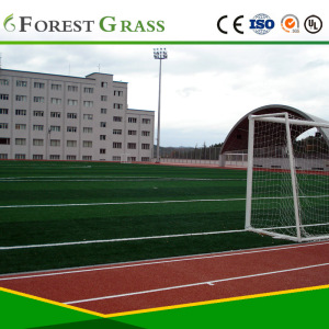 Cheap Thick Artificial Grass Turf for Football Field (STO)